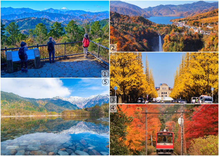 1-高尾山;2-日光(中禅寺湖);3-明治神宫外苑;4-箱根;5-上高地(图片来源:PIXTA)