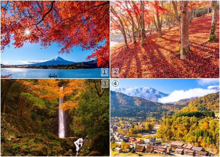 1-河口湖;2-修善寺自然公园;3-养老公园;4-白川乡(图片来源:PIXTA)