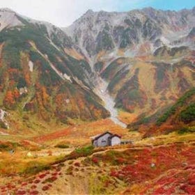 立山黑部红叶两日游
详情及预订 ▶
(图片/活动合作方:Klook)