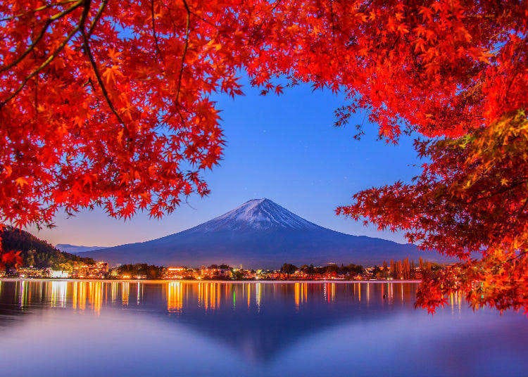 Fall Colors in Japan 2020: Best 8 Spots to See Japanese Maple Leaves (And  When to Visit)! | LIVE JAPAN travel guide