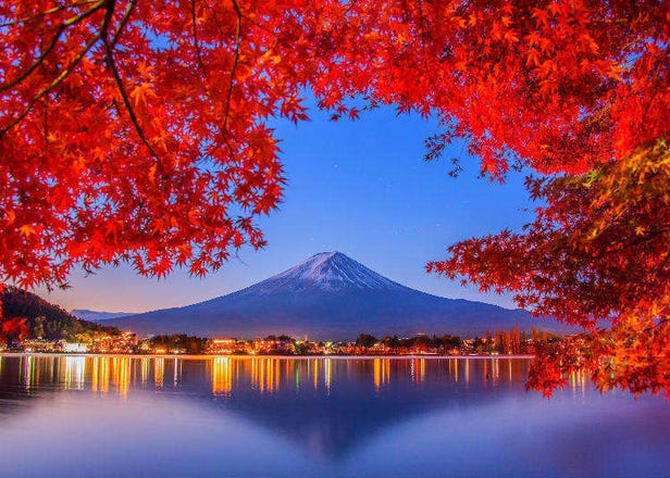 Fall Colors in Japan 2024: Best 8 Spots to See Japanese Maple Leaves (And When to Visit)