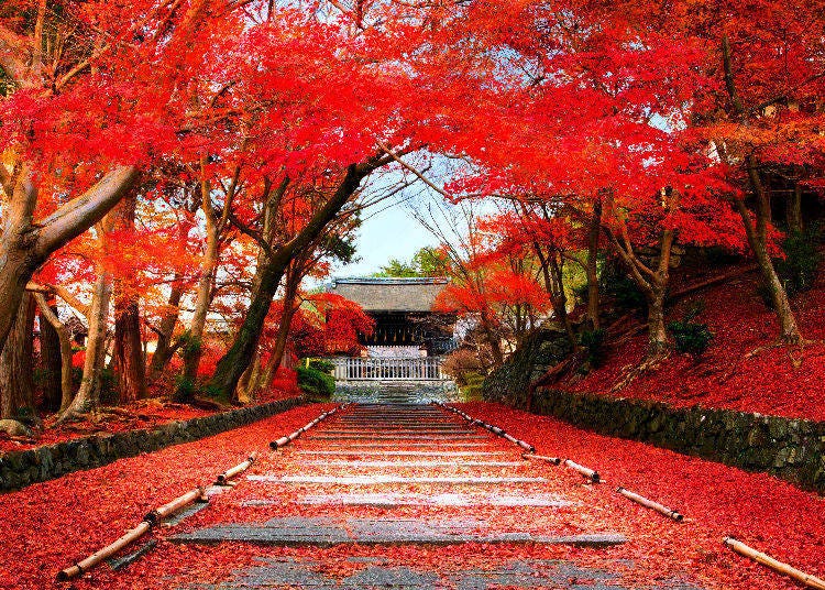 6. Bishamon-do Temple in Kyoto Prefecture