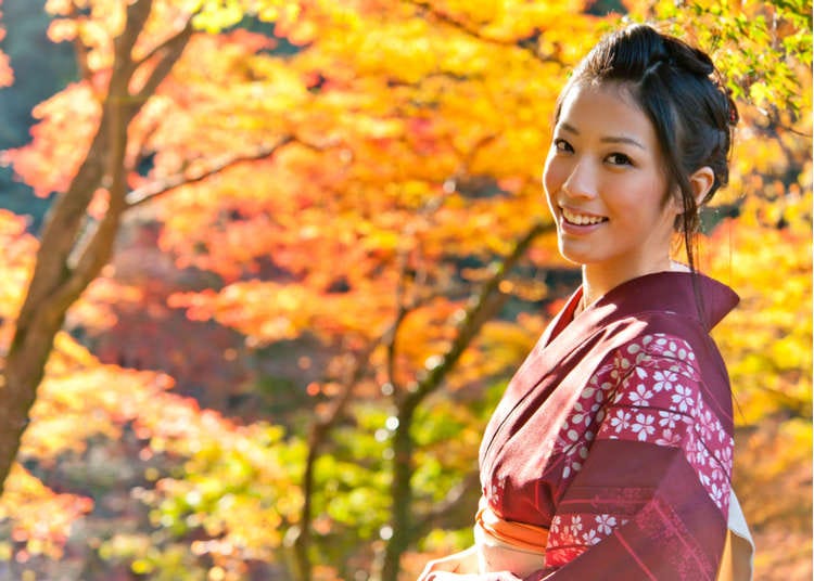 Experience the Beauty of Fall Under Ginko Avenue's Golden Canopy – HOKKAIDO  LOVE!