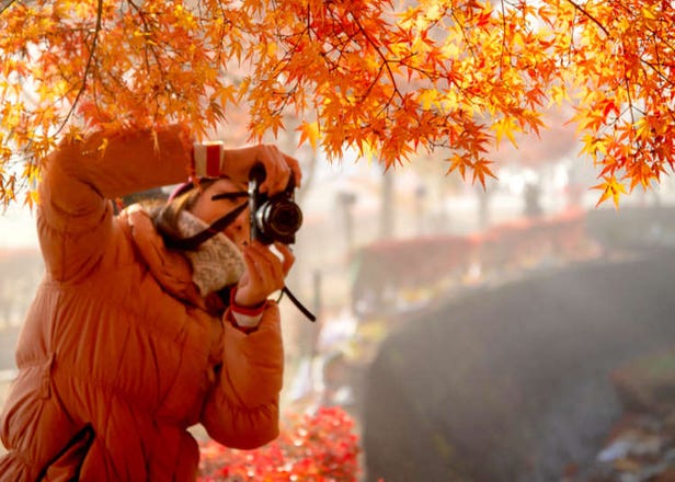 Tips & Advice for Planning a Trip to Tokyo in Autumn