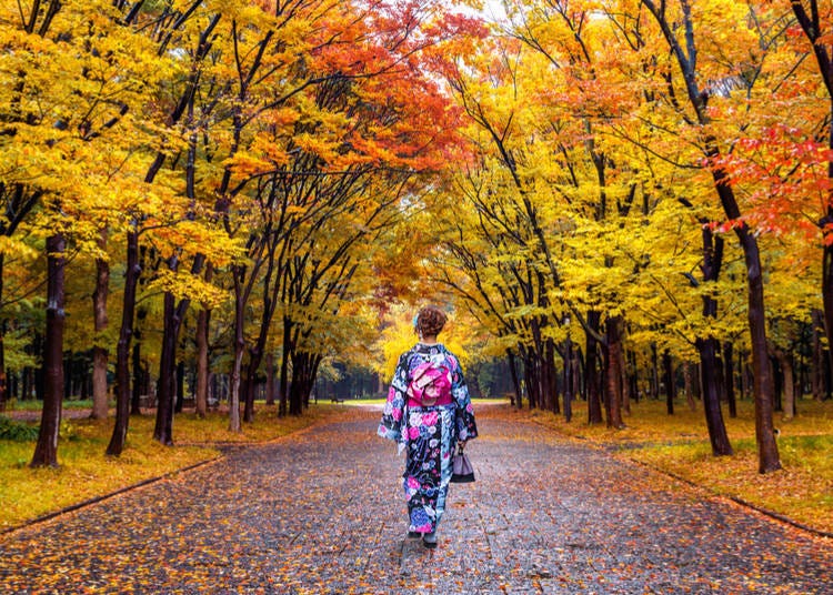 5. What to do in Japan in autumn