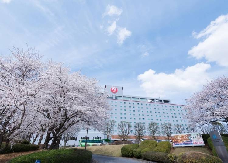 3. Hotel Nikko Narita - Luxurious stay with a view & free Narita Airport hotel shuttle