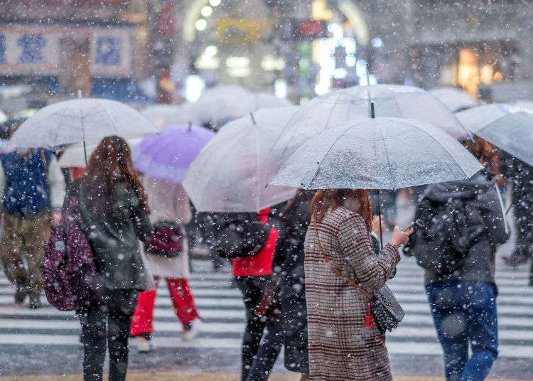 Planning Your Japan Getaway? 10 Tips for Travelling to Tokyo in Winter