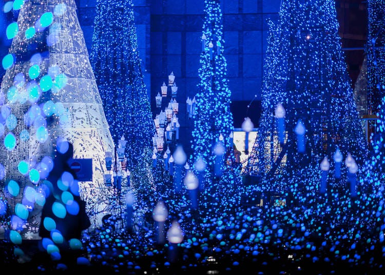 4. Don’t Miss Tokyo’s Incredible Illuminations!