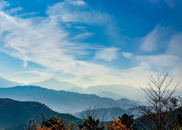 View of Mt. Fuji from the top of Mt. Takao