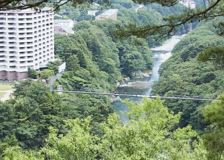 Take the steep stairs beside the shrine and you’ll get to the observatory. The suspension bridge is right in front of you!