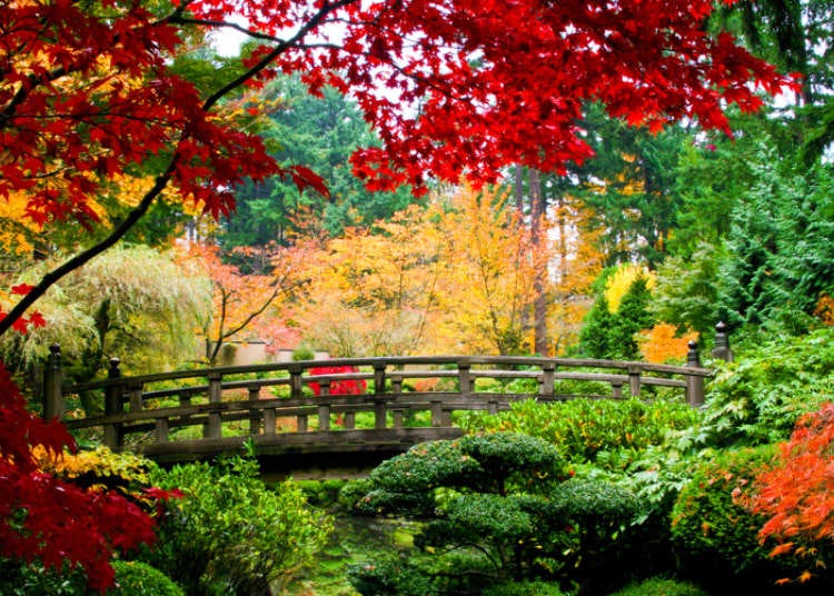 일본 가을, 초겨울 여행 - 10월,11월,12월 평균날씨와 옷차림!