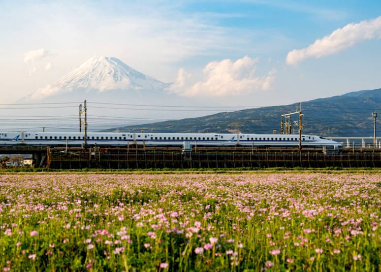 6. 帶小孩日本國內旅行