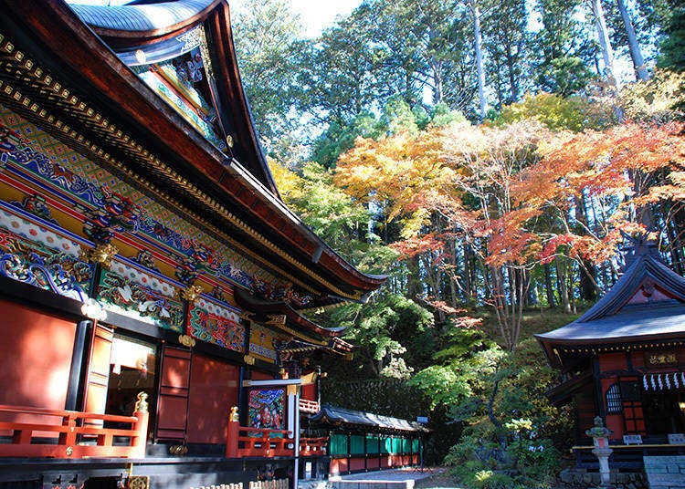 美景 美食の街 秩父はすべてが写真映え 東京からすぐ行ける人気観光地へショートトリップ Live Japan 日本の旅行 観光 体験ガイド