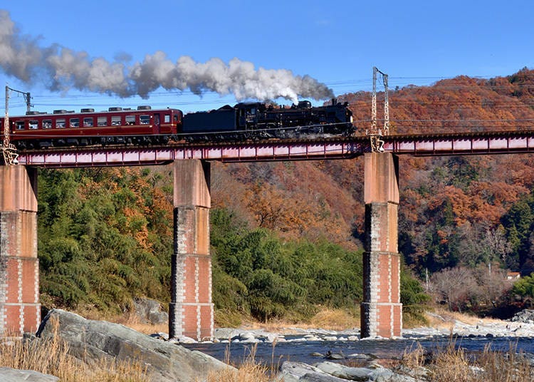 2. Brilliant Foliage with a Steam Locomotive in the Foreground