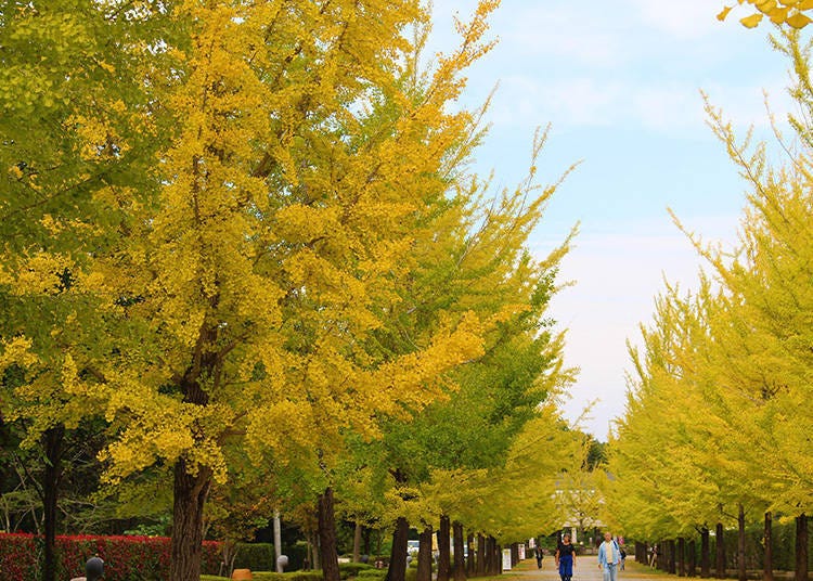 4. Appealing Selfies Wrapped in Bright Yellow