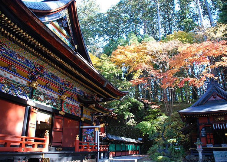 秩父紅葉攝影密技③色彩鮮艷的三峯神社主殿，美到讓人不由自主按下快門