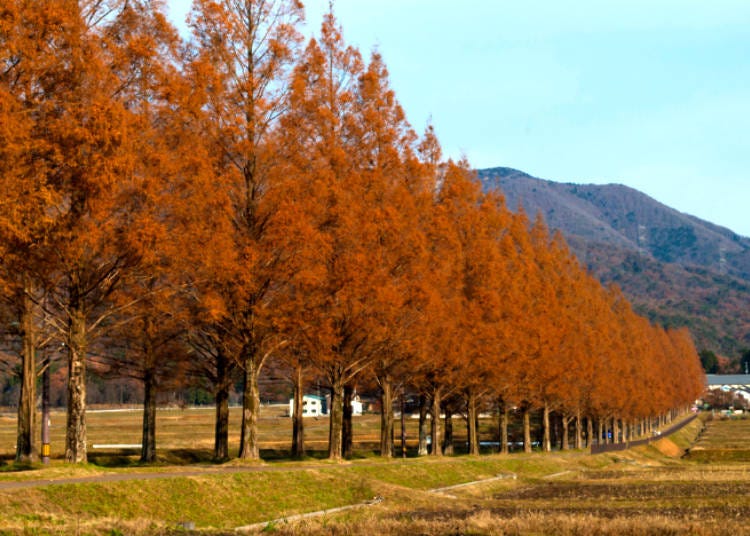 4.긴키 지역