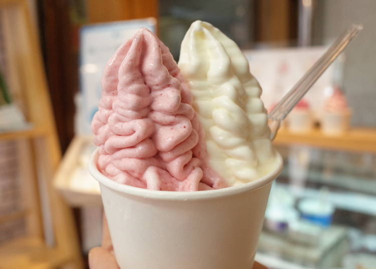 3. Frozen Yogurt at Wood Berry’s