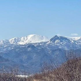 (Hokkaido/Sapporo) Snowshoeing and Onsen Adventures in a Winter Wonderland
Details & Bookings ▶
(Photo/activity provider: Viator)