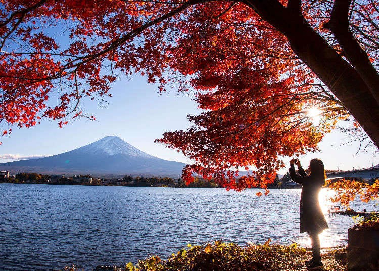 雙11特別篇 單身萬歲 一個人的東京旅行提案 住宿 美食 旅程的介紹 Live Japan 日本旅遊 文化體驗導覽