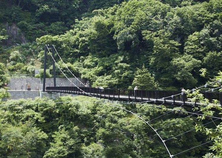 全長140公尺、高約40公尺的吊橋連接了鬼怒川溫泉街南方區域與名勝「楯岩」