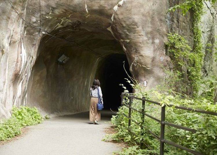 前往楯岩展望台的話會通過長約70公尺的楯岩隧道