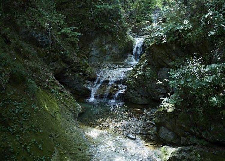 從三段岩石梯上潺潺流下的「古釜瀑布」四周充滿綠意自然生息
