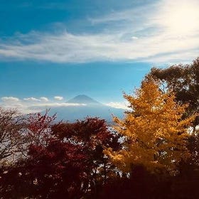 Mount Fuji Panoramic View & Shopping One Day Tour from Tokyo
Photo: (Klook)