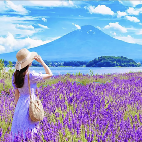 후지산 | 가와구치코 후지산 & 야마나카 호수 온천/크루즈 시즌 한정 특별 감상 당일 여행 | 도쿄/신주쿠 출발
Photo: (Klook)
