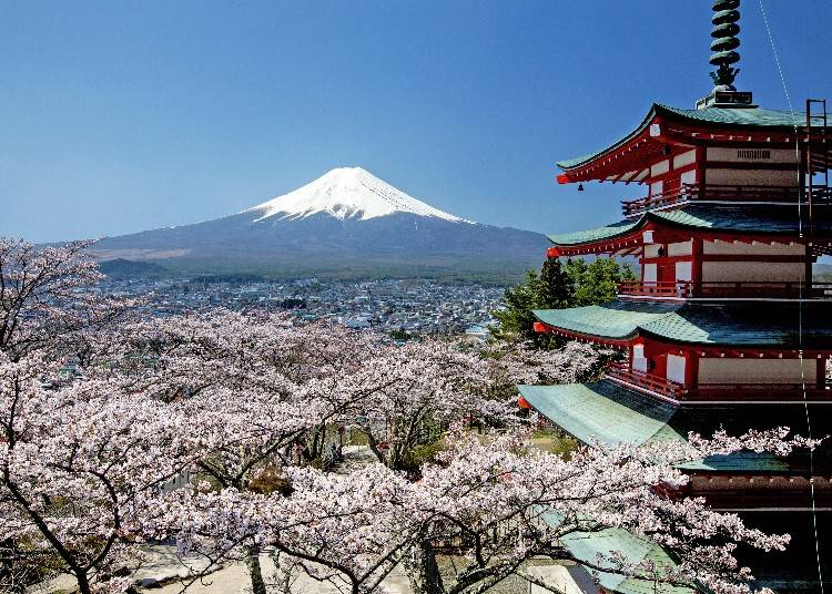 河口湖一日遊行程②可同時瞭望富士山與富士市街景的「新倉山淺間公園」