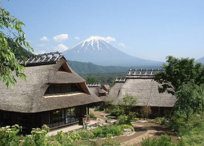 從新宿出發 前往富士山河口湖的一日遊行程示範 live japan 日本旅遊 文化體驗導覽