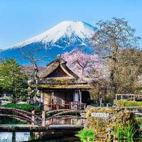 (Group tour) One-day trip to Mount Fuji in Japan