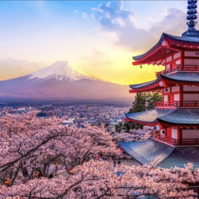 Mount Fuji Internet-famous Attractions One-Day Tour: Ladder Town, Oshino Hakkai, Lake Kawaguchiko, Lawson convenience store (departing from Tokyo Station or Shinjuku Station)