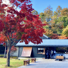 Tokyo, Karuizawa, and Kawagoe Little Edo Day Trip