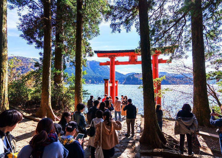 （Jheng Yao / Shutterstock.com）