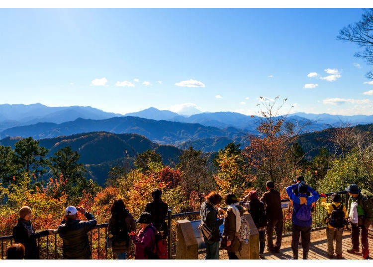 （Rpmasse / Shutterstock.com）