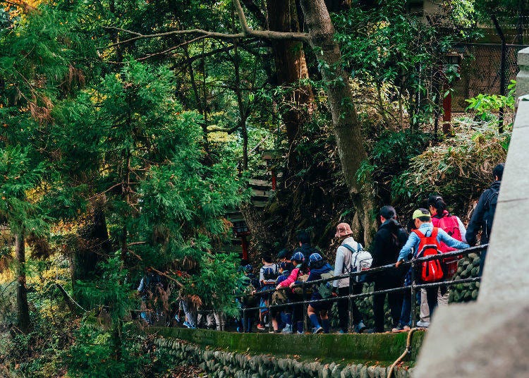 （Mmpai / Shutterstock.com）