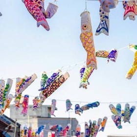 東京出發：川越（小江戶）私人客製化一日遊