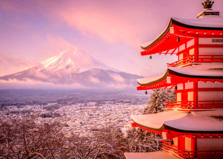 Tokyo in January: Events Weather and Must-Do's - Trip To Japan
