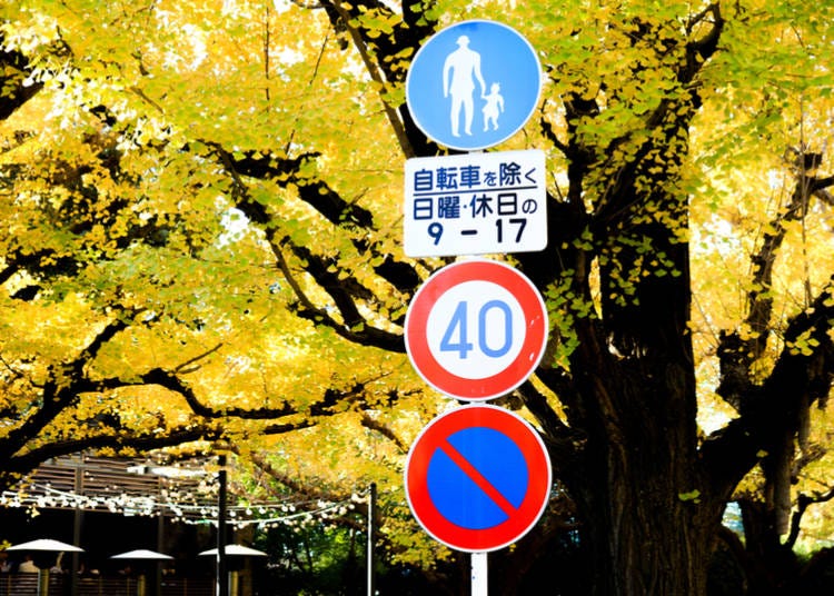 1. Familiarize yourself with the Japanese road signs before you go