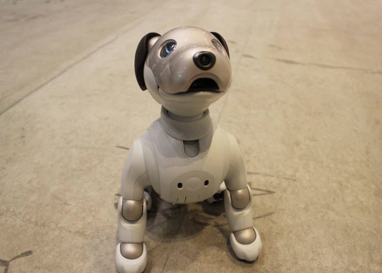 This is Spark, the adorable “Aibo” doggie greeting us on the first basement floor!