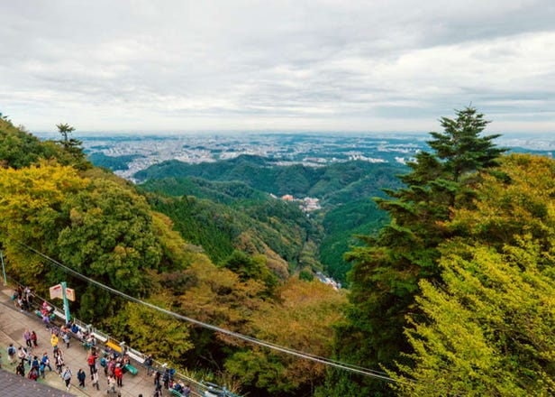 Explore Mount Takao, Tokyo's Cutest Mountain! 1-Day Plan with Hot Springs, Stunning Scenery, and Beer