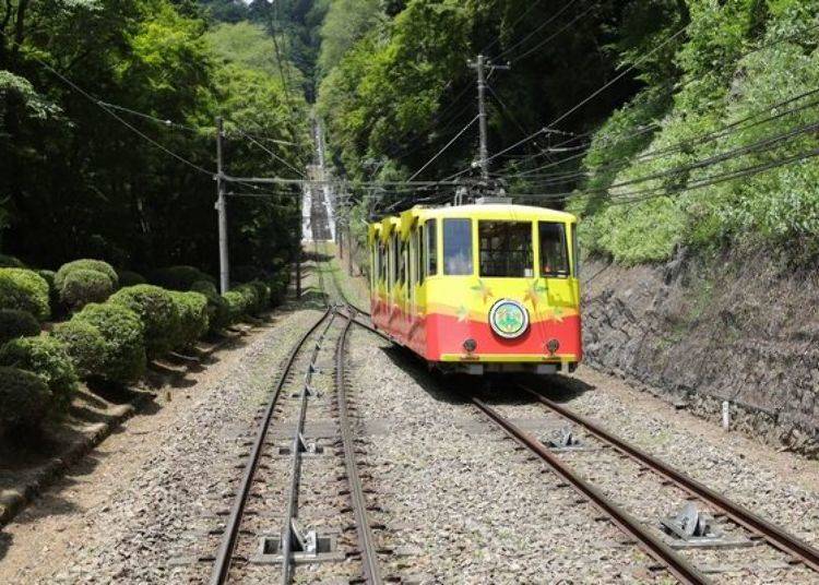 Of course, we passed Momiji on the way up.