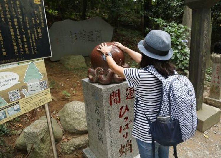 Next to the ancient tree is a popular lucky spot called Hipparidako. Pet the “octopus head” for an extra dose of good fortune!