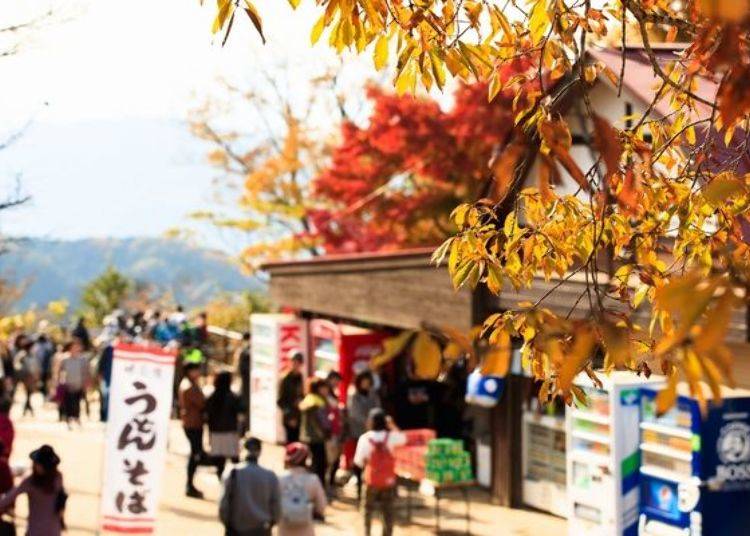 In autumn, the summit is clad in vivid colors.