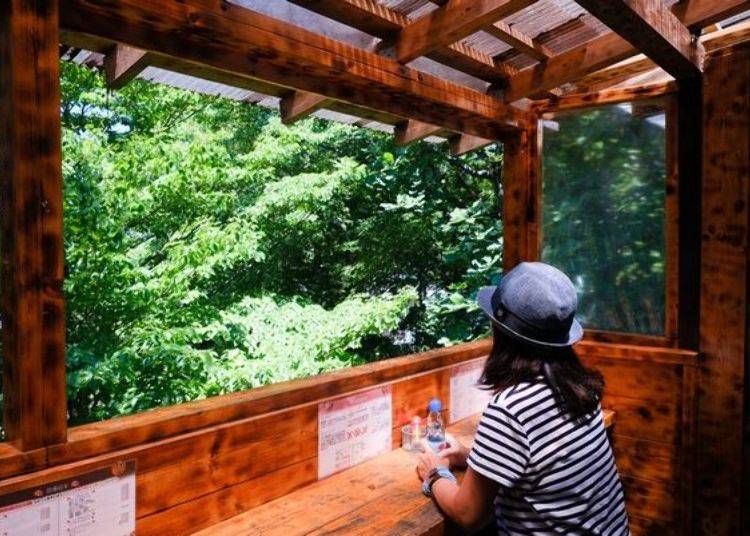 The terrace seats offer a great view of the forest.