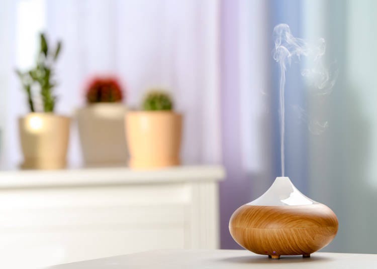 Room Odors: Ventilation for the Freshest Scent!