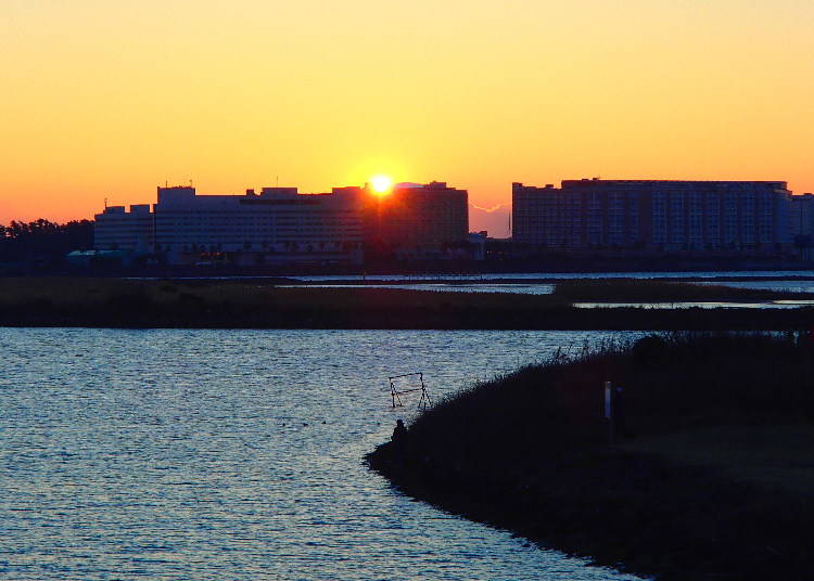 Image courtesy of Tokyo Metropolitan Park Association