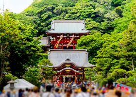Sightseeing in Kamakura, Japan: Visiting the Ancient Tsurugaoka Hachimangu Shrine
