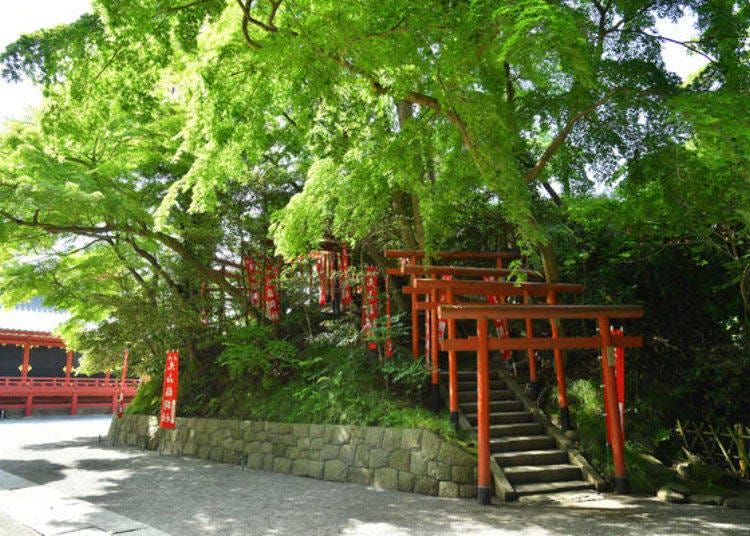 Maruyama Inari Shrine is at the top of the stairs leading through the many torii gates.